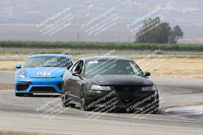 media/May-04-2024-PCA Golden Gate (Sat) [[175910c57a]]/Blue and Green/Cotton Corners/